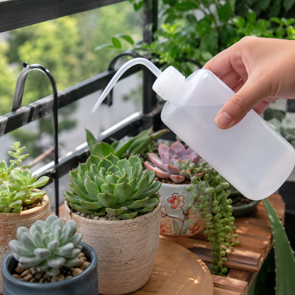 🌱 Plant Care | Precision Plastic Watering | Gentle Succulent Hydration